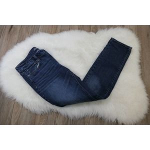 AMERICAN EAGLE 2011 Skinny Stretch Women's Jeans Size 10 Regular
